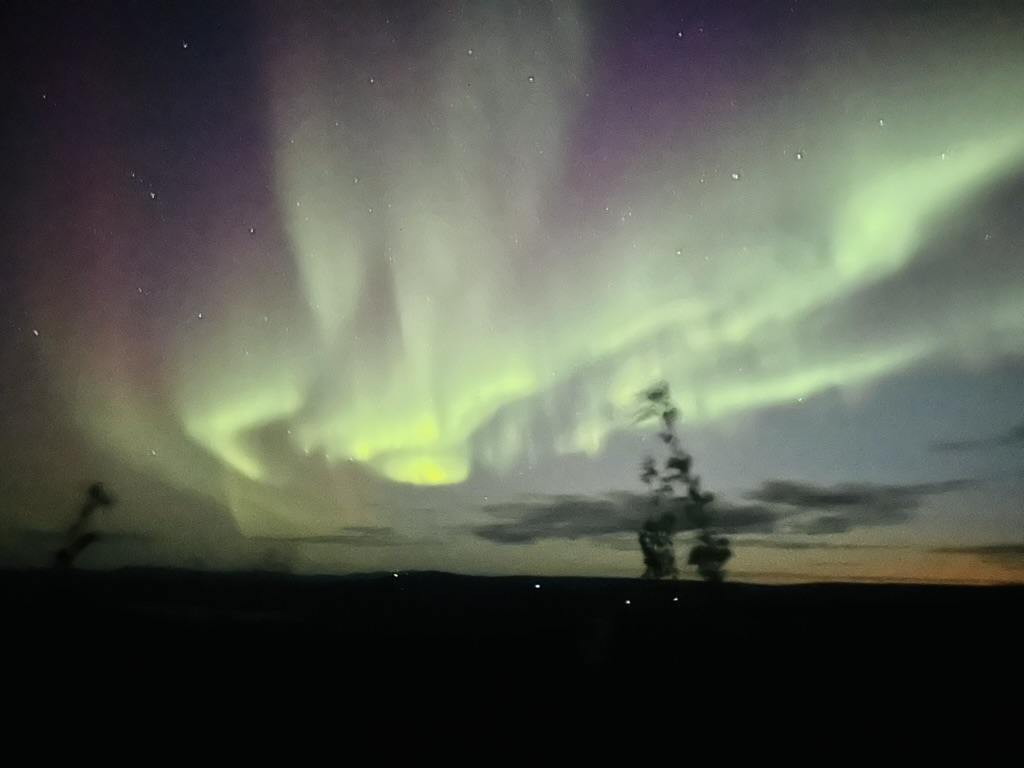 Aurora over the treeline
