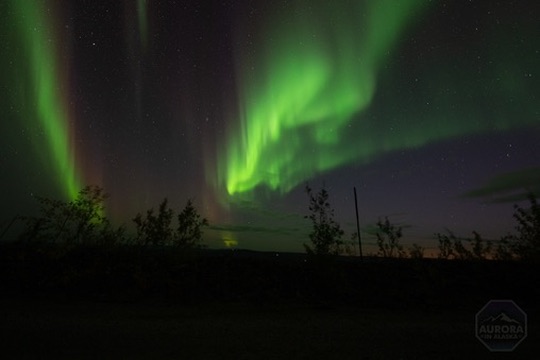 Aurora · wide sky